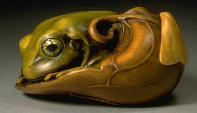 Tree Frog, Moth & Caterpillar