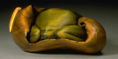 Tree Frog, Moth & CaterpillarTree Frog, Moth & Caterpillar