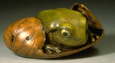 Tree Frog, Moth & Caterpillar