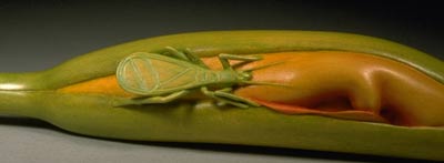 Day Lily & Snowy Tree Cricket