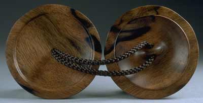 Bird Reflection, Swimming Fish