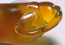 Everlasting Pea Flower Bud: Baltic Amber