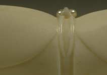 Butterfly: Stag Antler, Eye Inlay: Pearl