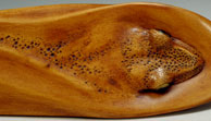 Swimming Frog: Boxwood, Inlay: Amber, Gold Leaf, Opal