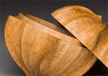 Silver Maple Pod Box