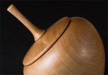 Hop Hornbeam Container