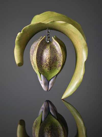 Nicandra Pod & Leaf Brooch